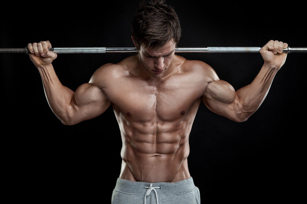 Muscle Growth
