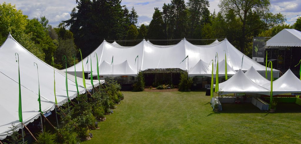 Premium Tent Rentals